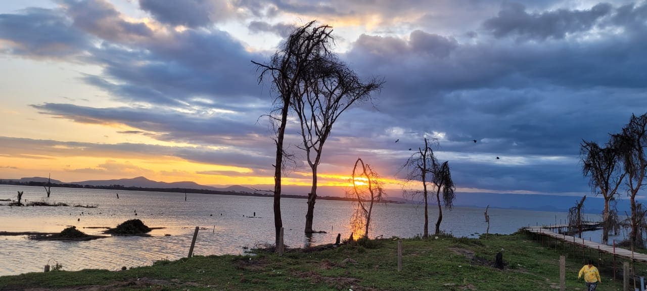 Samburu House - Image 2