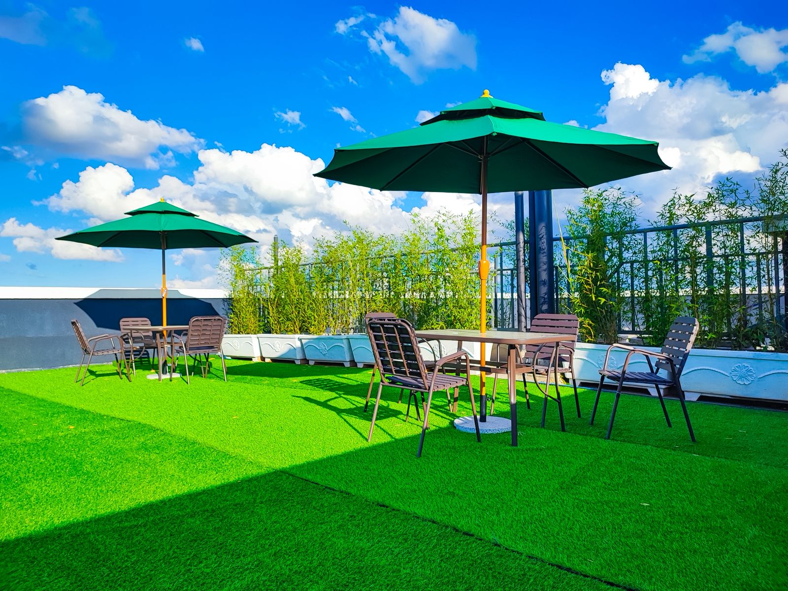 Pure Himalayas - Image 11