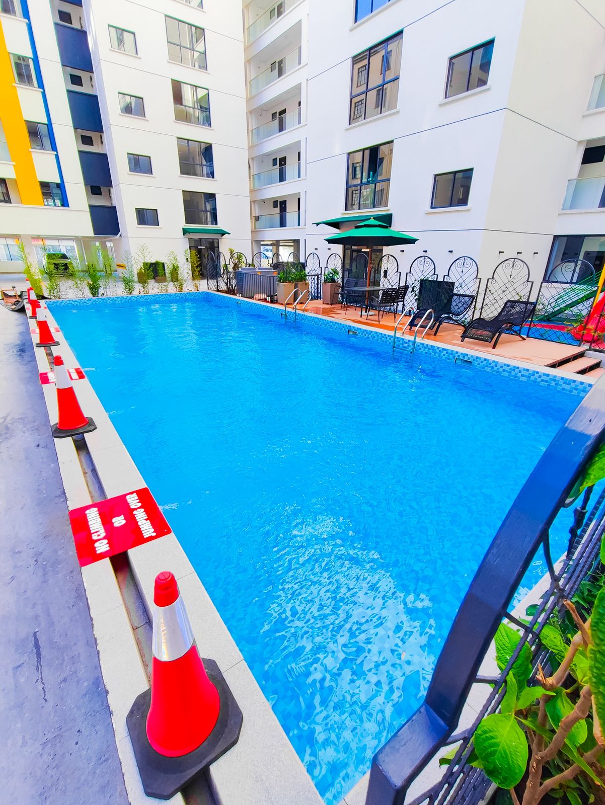 Pure Himalayas - Image 4